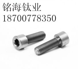 宝鸡钛标准件生产厂家直销 m4 m30