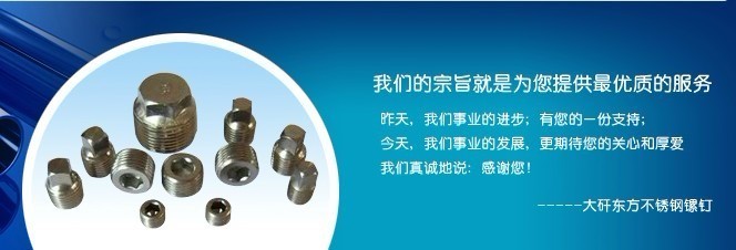 宁波市北仑区大矸东方不锈钢镙钉厂专业的堵头厂家_机械零部件加工 - 123查分类商机